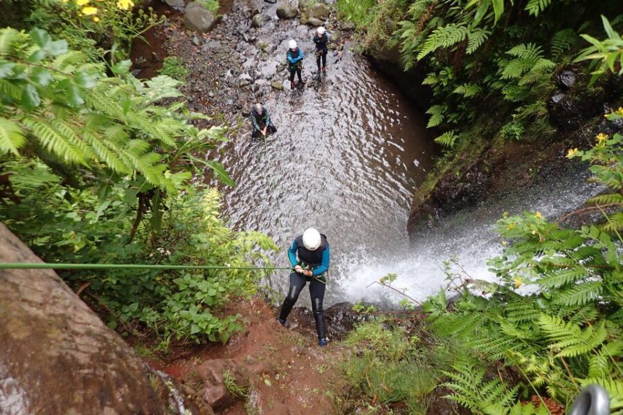 Beginner Canyoning Madeira - Meeting at CR7 Museu: How the Morning Gets You Moving