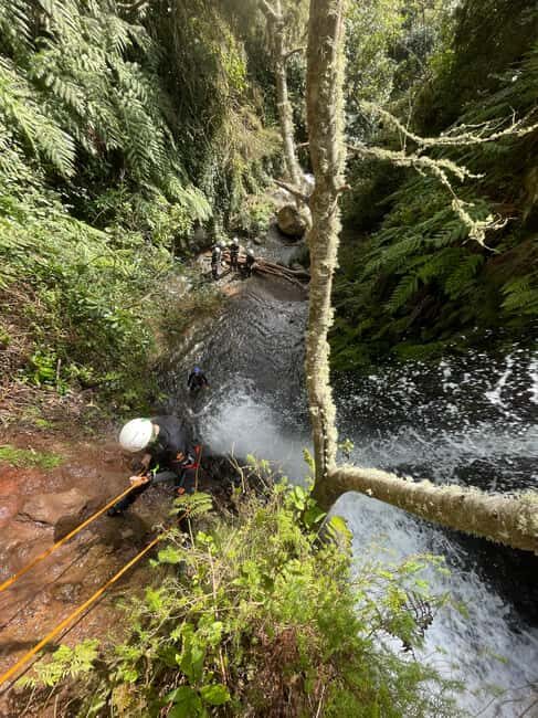 Beginner Canyoning Madeira - Price and Value: Why $82 Can Be a Sweet Deal