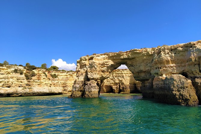 Benagil And Dolphins Tour - From Vilamoura Marina to Portugal’s Cave Coast in 2.5 Hours