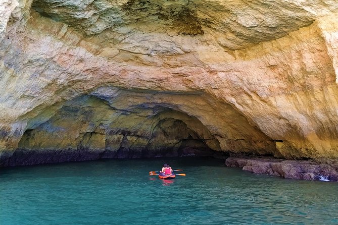 Benagil And Dolphins Tour - Dolphin Watching on the Atlantic: How to Think About the Odds