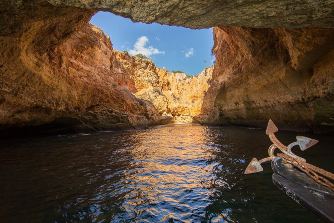 Benagil Cave Boat Tour - Catamarans or Rib - 2 H From Portimão - Dolphins and wildlife: great if it happens, not a guarantee