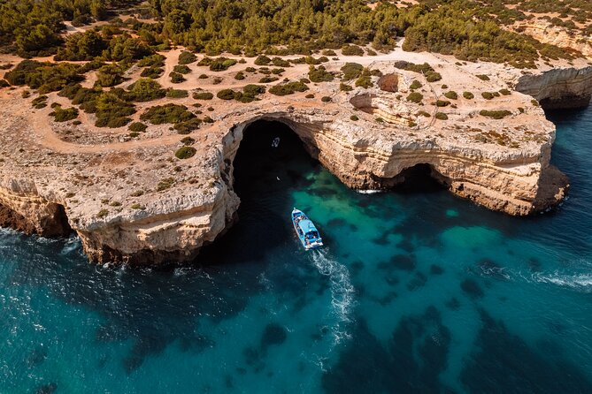 Benagil Caves and Dolphin Watching - 2.5h - Meeting Point at Algarve Charters, Cais H (and how check-in feels)