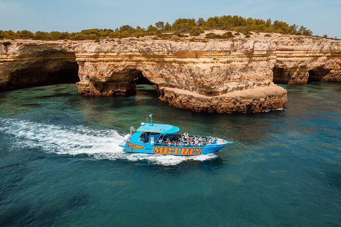 Benagil Caves and Dolphin Watching - 2.5h - The dolphin search: what you can realistically expect