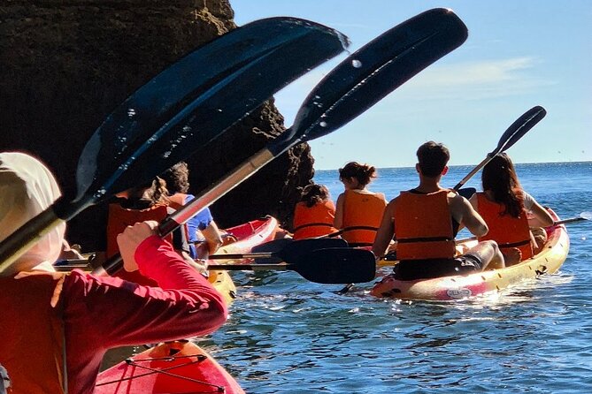 Benagil: Caves, Beaches, and Secret Spots Guided Kayak Tour - The guides: what you should listen for (Eugene, Tami, Jordan, Mike the Viking, Brenda)