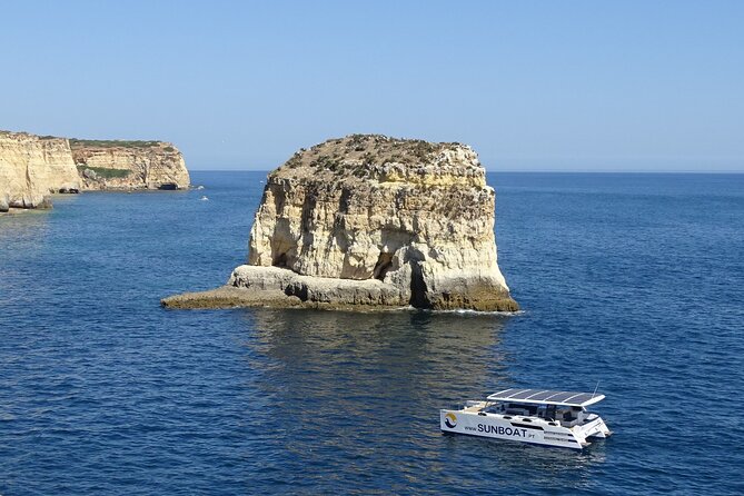 Benagil Caves & Coast from Portimão on an Eco-Friendly Catamaran - Bird islet IBA spotting: herons make it look like snow