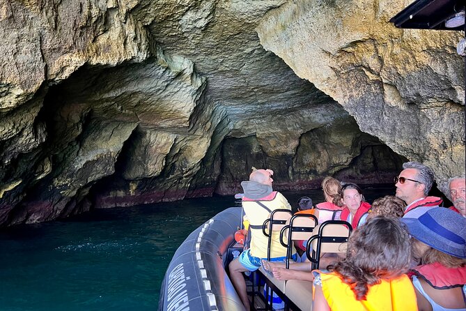 Benagil Caves & Praia da Marinha with multilingual guide - Marine life spotting: birds you can actually look for
