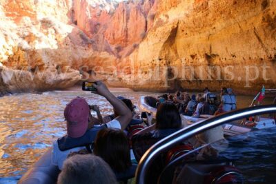 Benagil Caves Trip - Getting There in Portimão: Meeting Point and Timing