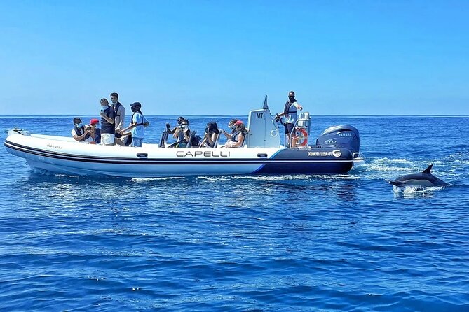 Benagil Caves Visit with Dolphins Watching from Albufeira - Benagil Caves and dolphins: the smartest combo from Albufeira