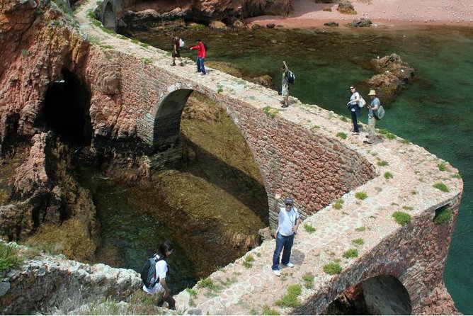 Berlenga Island Small-Group Day Trip from Lisbon - Berlenga Grande free time: beach, refreshments, and your real schedule