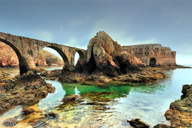 Berlenga Island Small-Group Day Trip from Lisbon - Nature Reserve walk: flora and fauna with island footing