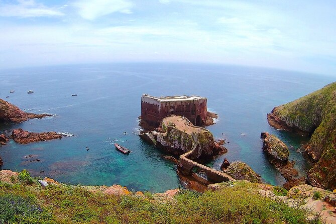 Berlengas Island Catamaran Tour - Round Trip - A UNESCO biosphere day: 3 hours on Berlengas Natural Reserve