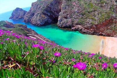Berlengas Island Catamaran Tour - Round Trip - Coast views from the catamaran, plus dolphins if you’re lucky