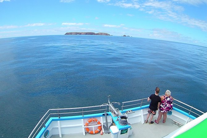 Berlengas Island Catamaran Tour - Round Trip - Fort St. John and Duke of Bragança Lighthouse: what you’re seeing from the sea
