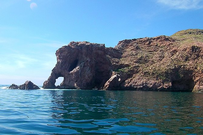 Berlengas Island Catamaran Tour - Round Trip - The ODISSEIA VIVA app: how the multimedia part works