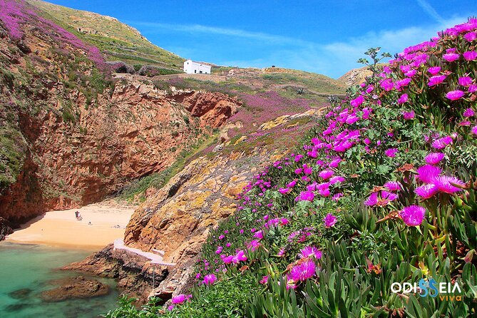 Berlengas Island Catamaran Tour - Round Trip - Group size and how it feels on board (maximum 75)