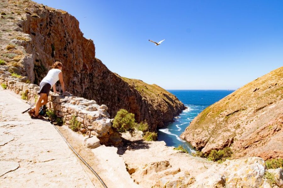 Berlengas The Atlantic Frontier: Day Tour from Lisbon - Sea crossings and the return to Lisbon: plan your evening buffer