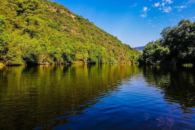 Best of Douro Valley Wine Full Day Private Tour - Key Things You’ll Notice on This Douro Day
