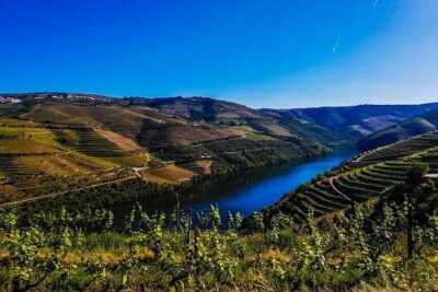 Best of Douro Valley Wine Full Day Private Tour - Why This Private Douro Valley Day Trip Works From Porto