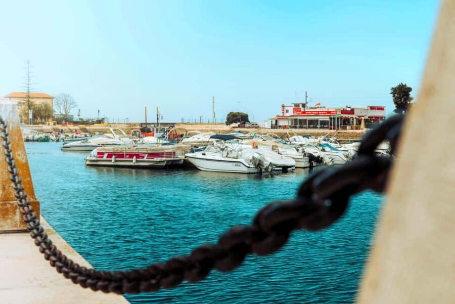 Best of the East: Day Trip to Faro, Olhão, Tavira, & more - Who should book this day trip (and who should skip it)