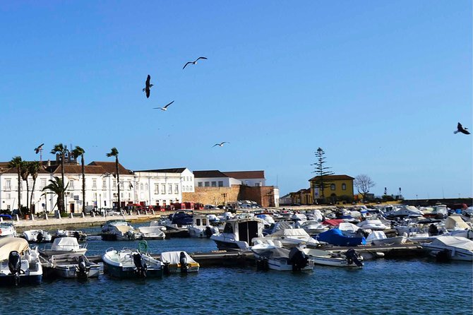 Best of the East: Faro, Olhão, and Tavira - Olhão’s cube houses, Moorish streets, and the fishing market