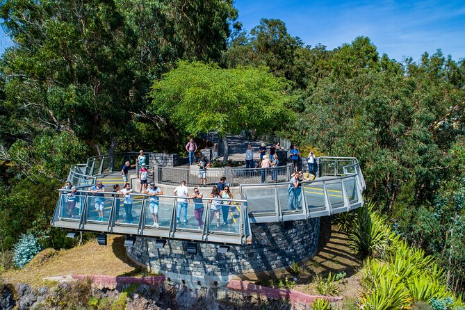 Bestselling Wine Tour, Tasting Experience & Skywalk 4x4 Adventure - Off-road 4x4 driving is the real headliner