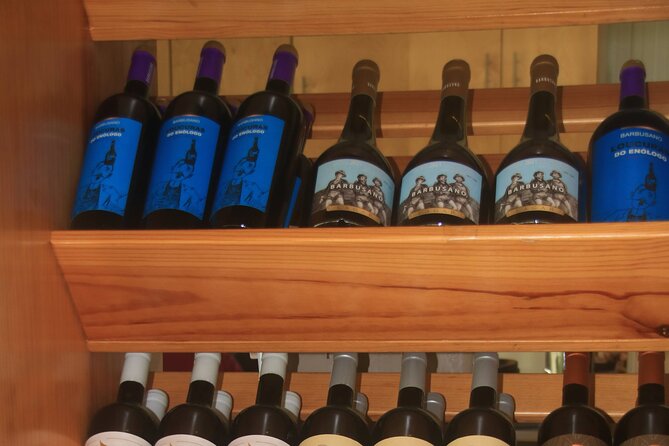 Bestselling Wine Tour, Tasting Experience & Skywalk 4x4 Adventure - Câmara de Lobos: colorful harbor life with a classic Madeira vibe
