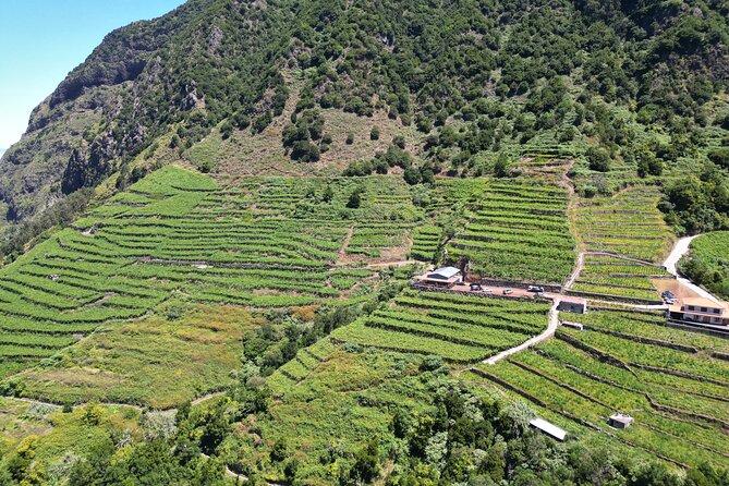 Bestselling Wine Tour, Tasting Experience & Skywalk 4x4 Adventure - Ribeira Brava: pebble beach, promenade, and a slower rhythm