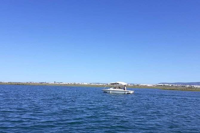 Birdwatching in Ria Formosa - Eco Boat Tour from Faro - Gliding through the lagoon and marshes (where the birds actually work)