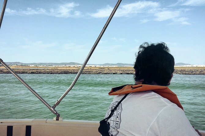 Birdwatching in Ria Formosa - Eco Boat Tour from Faro - Who this tour fits best (and when to book)