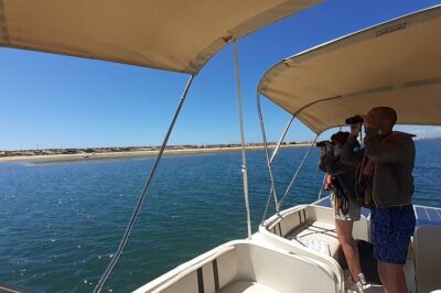Birdwatching in Ria Formosa - Eco Boat Tour from Faro - Back toward Faro: the payoff view and final scans
