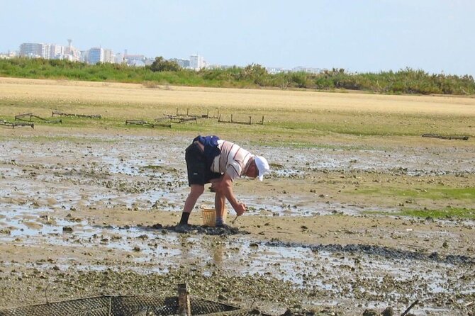 Birdwatching in Ria Formosa - Eco Boat Tour from Faro - Value and price: what $48.27 buys you