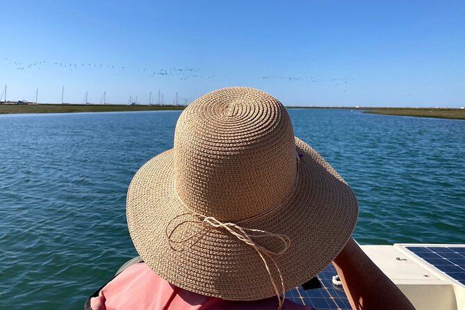 Birdwatching in Ria Formosa - Eco Boat Tour from Faro - Should you book this Ria Formosa birdwatching eco boat tour?