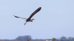 Birdwatching Solar Boat Tour Aveiro Lagon - Finding Cais do Sal and boarding the solar boat