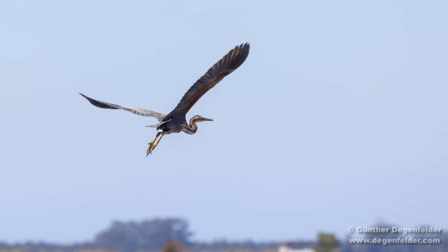 Birdwatching Solar Boat Tour Aveiro Lagon - Finding Cais do Sal and boarding the solar boat