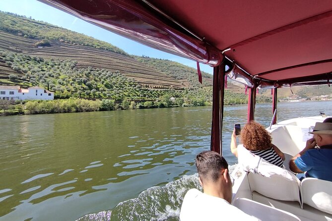 Boat tour 50min through the river Douro in Pinhão - A One-Hour Douro Cruise from Pinhão: What You Actually Get