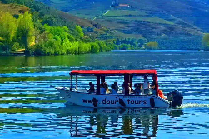 Boat tour 50min through the river Douro in Pinhão - Onboard Setup: Guides, Audio, and a Real Sense of Safety