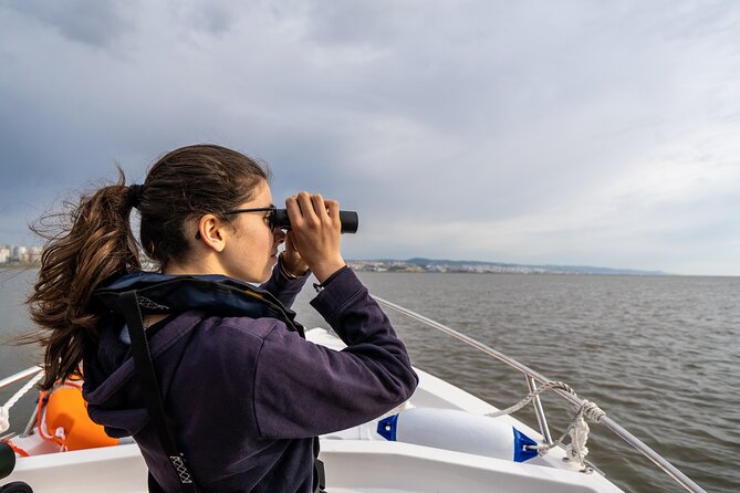 Boat Tour - Bird Observation in the Tejo Nature Reserve - What you’ll see from the boat: flamingos, spoonbills, and friends