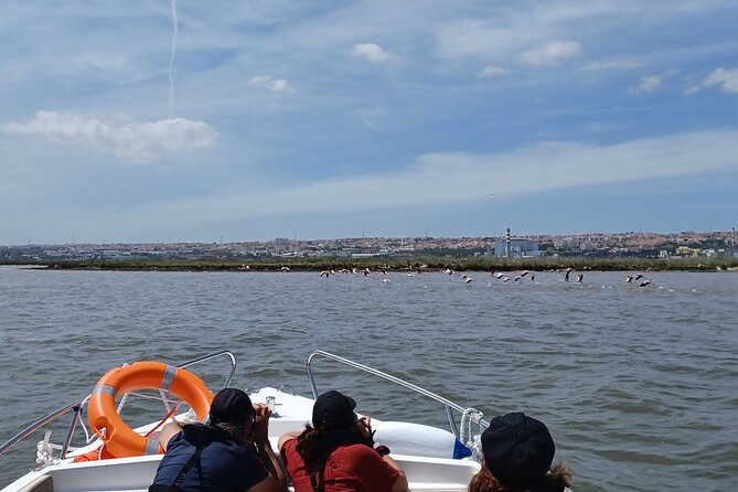 Boat Tour - Bird Observation in the Tejo Nature Reserve - The boat ride itself: best views, best moments, and realistic comfort
