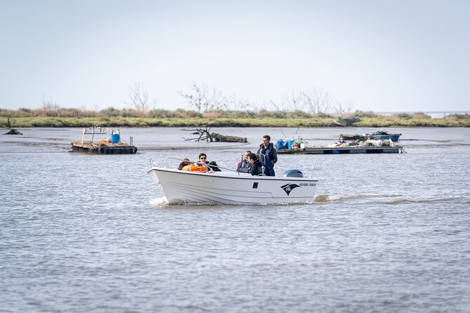 Boat Tour - Bird Observation in the Tejo Nature Reserve - Who this tour is perfect for (and who might not love it)