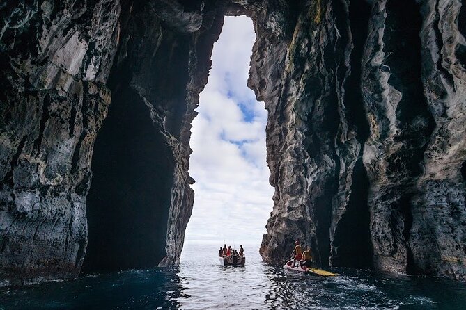 Boat Tour: Cave Tour on The North Coast - Key highlights you’ll feel right away