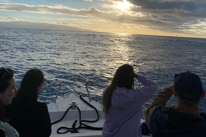 Boat Tour: Cave Tour on The North Coast - Who this tour fits best (and who should skip it)