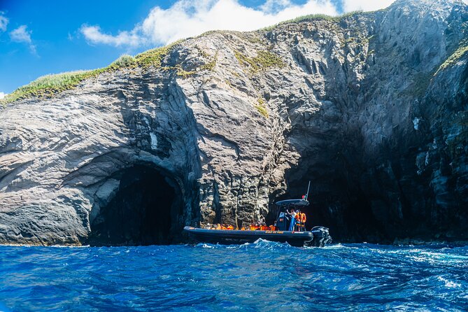 Boat Tour: Caves & Cliffs Tour on the Wild North Coast - Key highlights you’ll actually care about