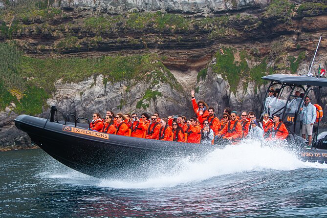 Boat Tour: Caves & Cliffs Tour on the Wild North Coast - The wild north coast in about 2 hours