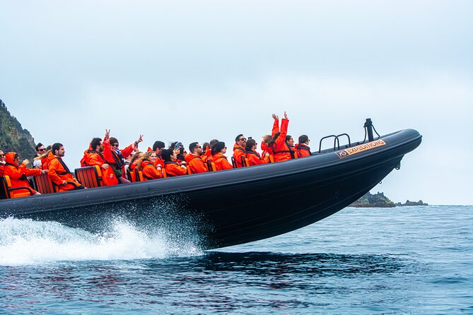 Boat Tour: Caves & Cliffs Tour on the Wild North Coast - How the ride feels: speed, comfort, and safety-first gear