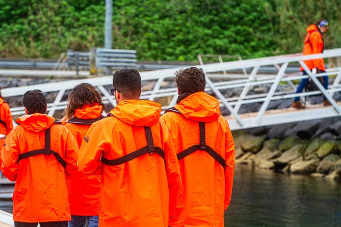 Boat Tour: Caves & Cliffs Tour on the Wild North Coast - Price and value: $70.88 for a fast, guided north-coast hit