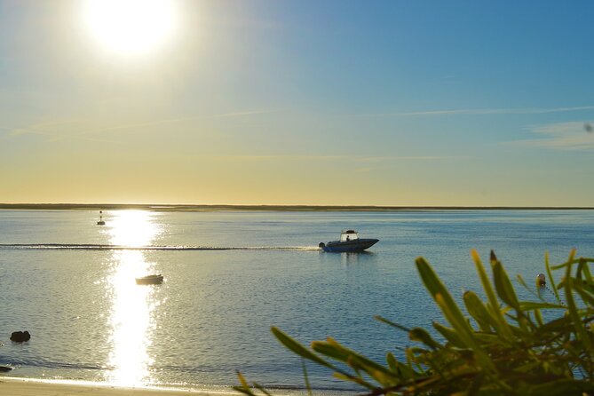 Boat Tour of 2 Ria Formosa Islands: Culatra and Armona - Who should book this tour (and who should adjust expectations)