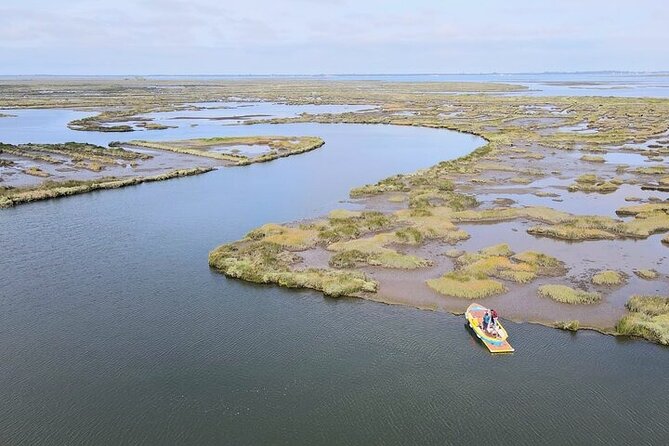 Boat tour of the highlights of the Ria - Oil Port to Organic Fuels: Seeing Modern Use in the Lagoon