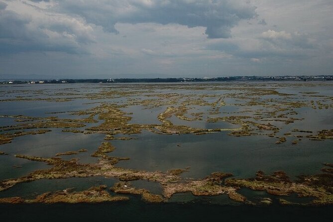 Boat tour of the highlights of the Ria - Ancient Salt Flats and Canal Meanders: Where the Story Becomes Visible