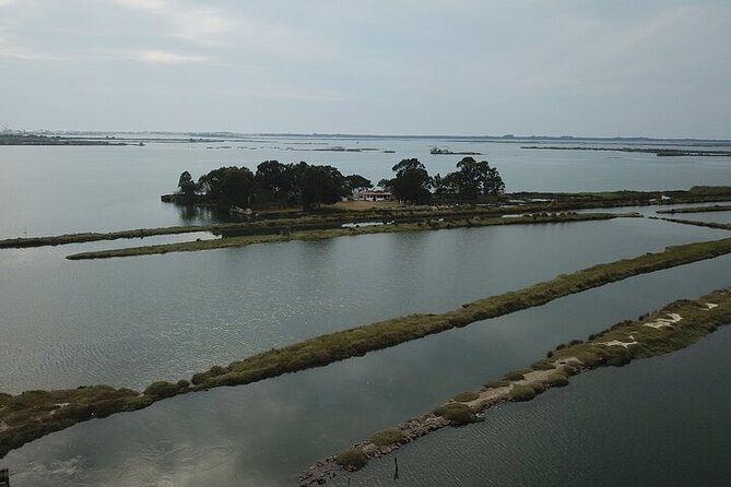 Boat tour of the highlights of the Ria - Wildlife and Photography Tips That Actually Help on This Route