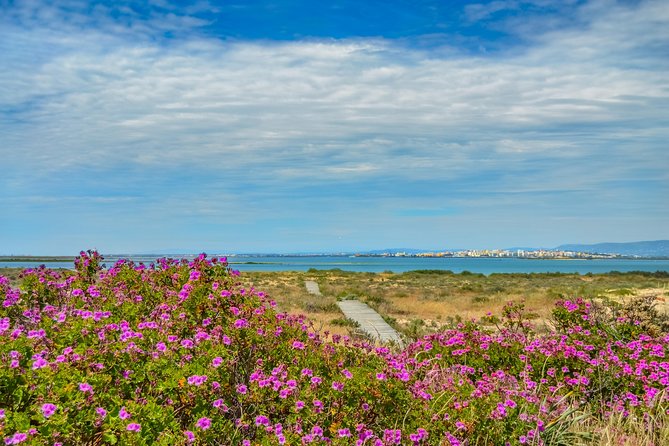 Boat trip from Faro to Ilha Deserta by Ferry - Where to meet in Faro: Cais das Portas do Mar